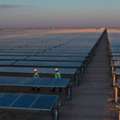 Jeddah Solar Plant Cleaner