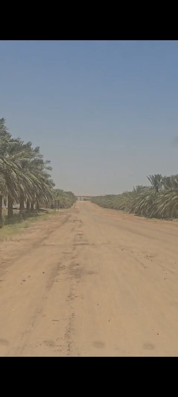 Riyadh, Jobs, Majara