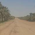 Majara