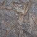 Natural Stone Cladding Australia &ndash; ACME Trendz