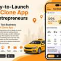 Ready-to-Launch DiDi Clone App For Entrepreneurs