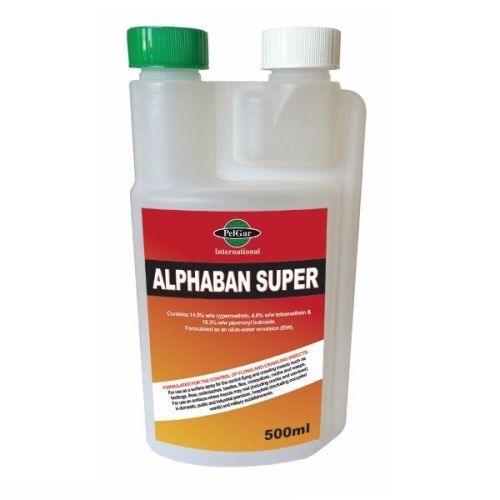 London, Business, Need Effective Wasp Poison To Manage Unwanted Wasps?