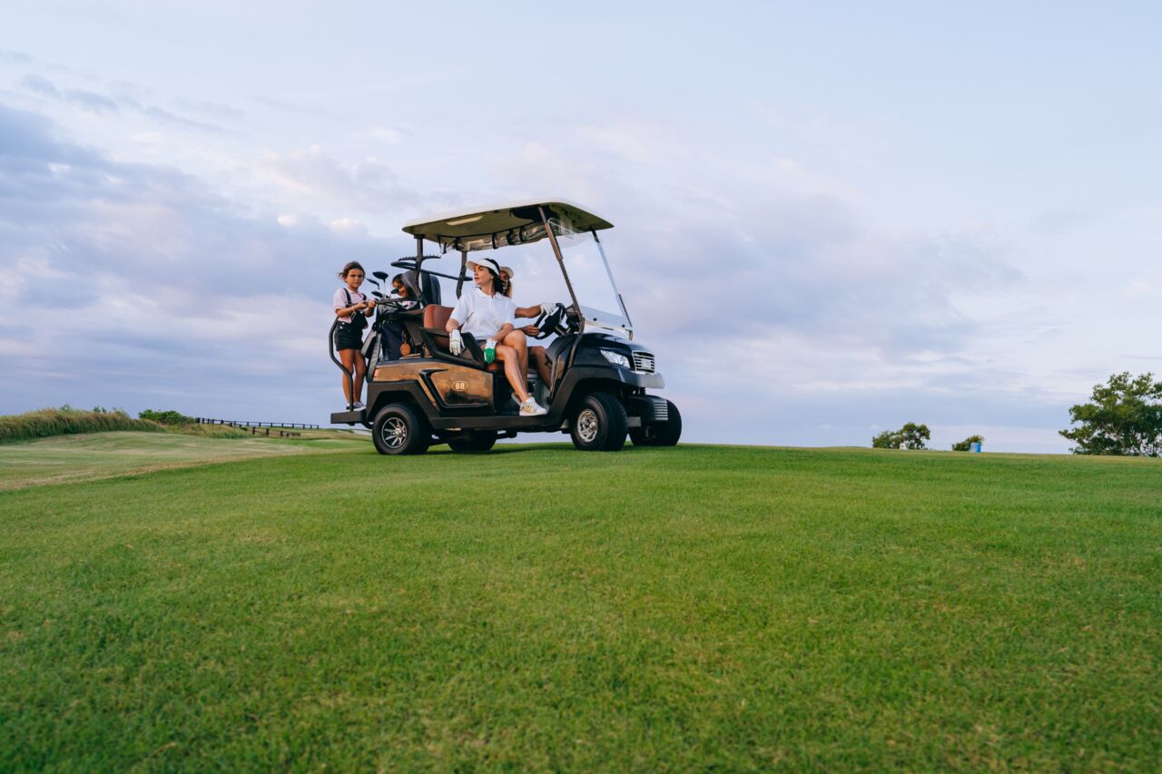 New York, Business, Golf Cart Repair Services Bartow | MC Cartys Cart Experts