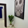 SAR 2300/month,  Furnished,  Single Rooms Available For Executive Bachelor In Olaya