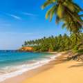 Kerala Beach Holiday Packages For Couples And Families