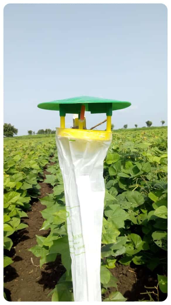 Mumbai, Business, Best Pheromone Trap For Farming In India For Effective Pest Management