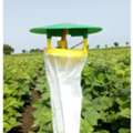 Best Pheromone Trap For Farming In India For Effective Pest Management