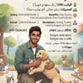Animal Care Worker