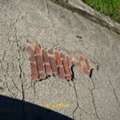 Asphalt Crack Filling Houston Tx