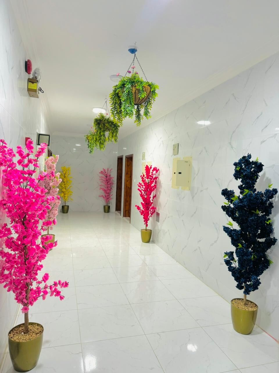 Jubail, Apartments, Flats, Houses & Villas, 2 BR,  2 Bhk Fully Furnished