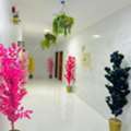 2 BR,  2 Bhk Fully Furnished