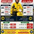 Need Urgent Bike Riders In Noon