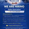 SALES EXECUTIVE
