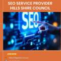 Seo Service Provider Hills Shire Council