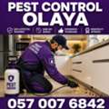 ✅✅✅ PEST CONTROL OLAYA ✅ 057 007 6842 ✅✅✅