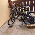 BHD 25, Kids / Teens Bike