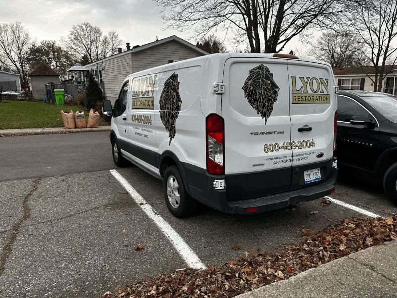New York, Cleaning, What Affects The Black Mold Testing Cost?