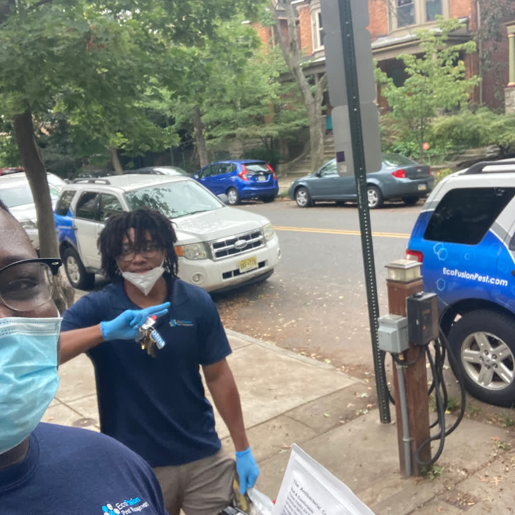 New York, Pest Control, EcoFusion Pest Control