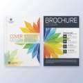 Premium Brochure Printing In London – Get Your Free Quote Now
