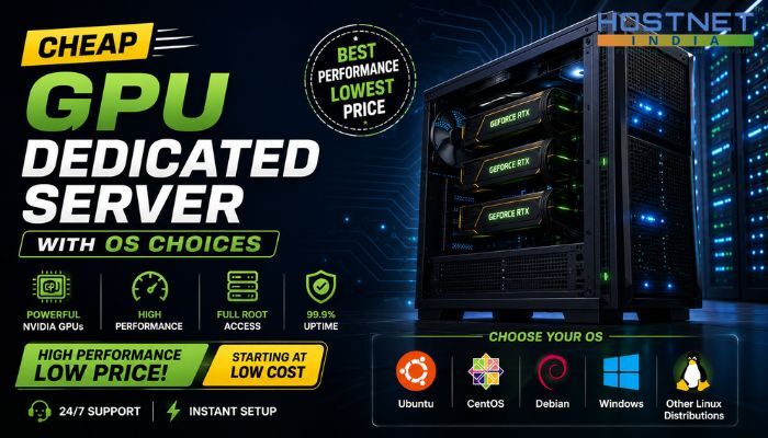 Mumbai, Technical, Cheap GPU Dedicated Server With OS Choices