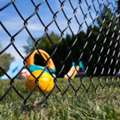 Top Chain Link Fence Suppliers UAE For Durable Security Fencing Solutions