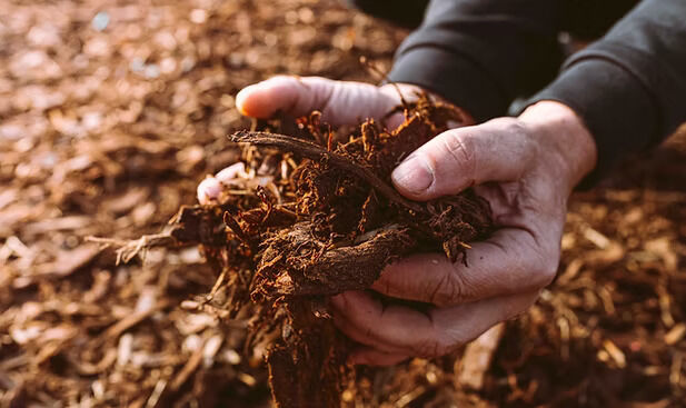 New York, Farm & Garden, Poor Soil Fertility? Restore Nutrients With Soil Fertilizers &ndash; Enquire Today