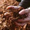 Poor Soil Fertility? Restore Nutrients With Soil Fertilizers &ndash; Enquire Today