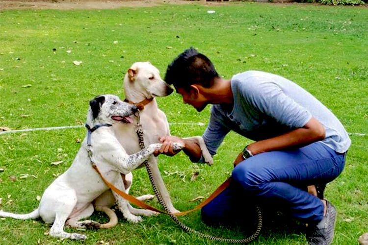 Gurugram, Pet Sitting, Pet Trainer Gurgaon | Trusted Dog Training & Puppy Behavior Experts