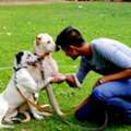 Pet Trainer Gurgaon | Trusted Dog Training & Puppy Behavior Experts