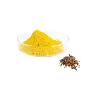 Mumbai, Health & Beauty Items, Curry Leaf Extract (3% Iron) Manufacturers In India
