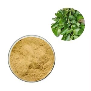 Mumbai, Health & Beauty Items, Senna Extract (10% To 60%) Manufacturers In India