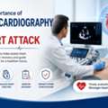 The Importance Of Echocardiography After A Heart Attack