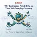Why Businesses Pick X-Byte As Their Web Scraping Company