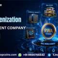 Transform Traditional Assets Into Digital Assets With RWA Tokenization Development