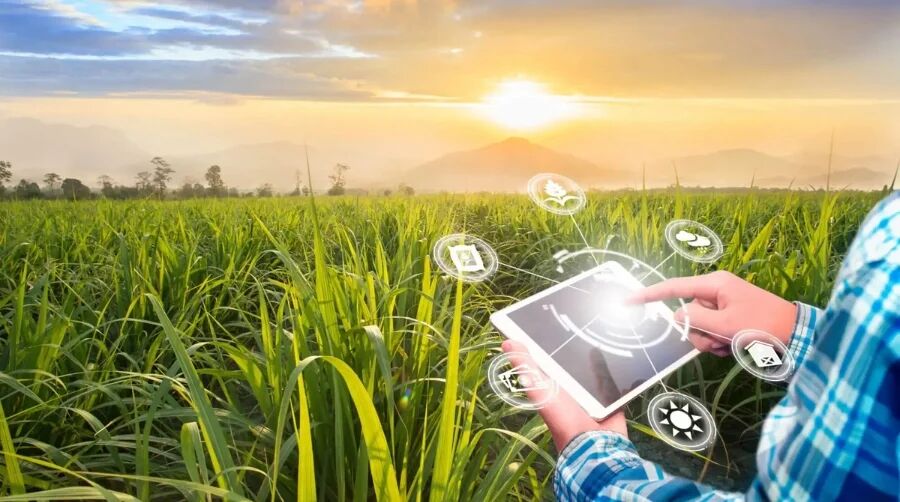 Bangalore, Software Development, Agriculture Software Solutions Bangalore | Agri Tech Companies