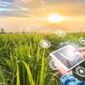 Agriculture Software Solutions Bangalore | Agri Tech Companies