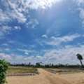 INR 35000,  200 Sq. Yard,  HMDA & RERA APPROVED Open Plots  For Sale @ Adibatla