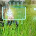 SATHI Compliant Agriculture Distributor Software | Agrica