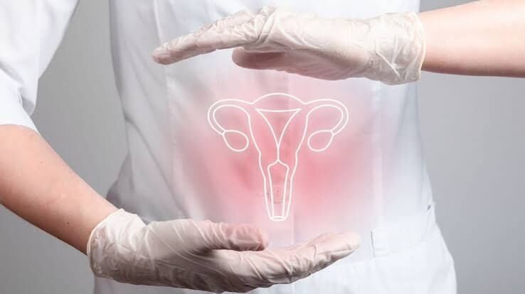 New Delhi, Health, Gynecologist In South Delhi &ndash; Expert Care For Women