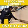 ✅✅✅ COMPLETE PEST CONTROL AL SULAYMANIYYAH – ✅ 057 007 6842 ✅✅✅