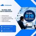 Global B2B Data Services