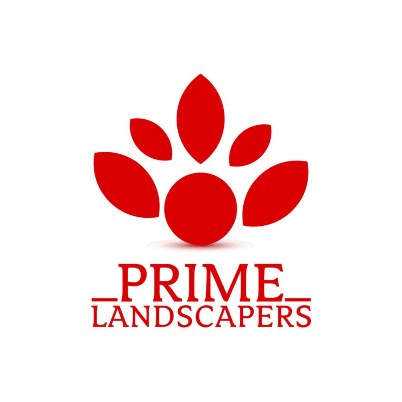 New York, Business, Snow Removal Buffalo NY For Reliable Winter Property Maintenance