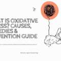 What Is Oxidative Stress And How Does It Affect Human Body Cells