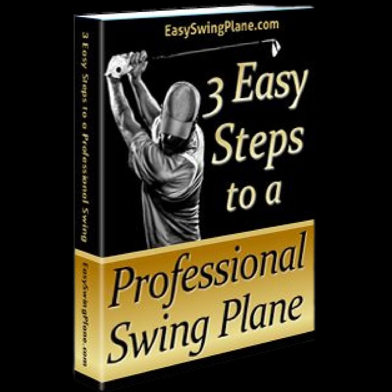 New York, Training, 3 Easy Steps To A Professional Swing Plane