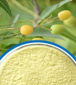 Faridabad, Farm & Garden, Azadirachtin Technical Powder Manufacturers In India  Premium Neem Extract Supplier