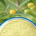 Azadirachtin Technical Powder Manufacturers In India  Premium Neem Extract Supplier