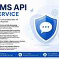 Carrier Grade SMS API Service Infrastructure Designed For Massive Communication