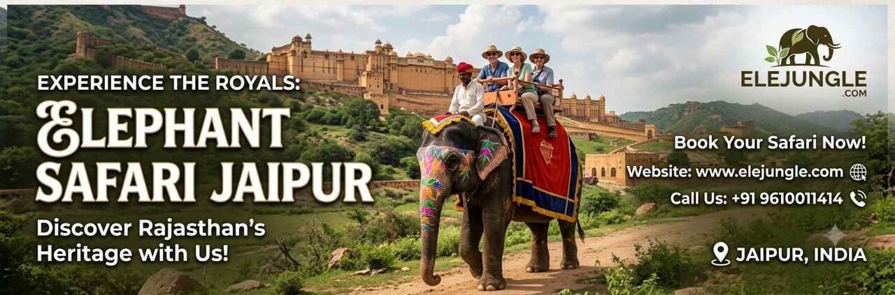 Jaipur, Travel, Top-Rated Elephant Safari Experience In Jaipur, India