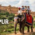 Top-Rated Elephant Safari Experience In Jaipur, India