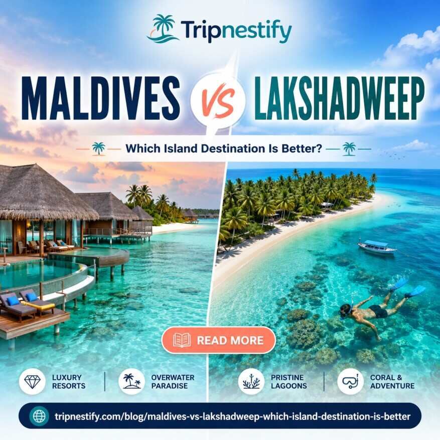 New Delhi, Travel, Maldives Vs Lakshadweep: Which Island Destination Is Better? | Tripnestify